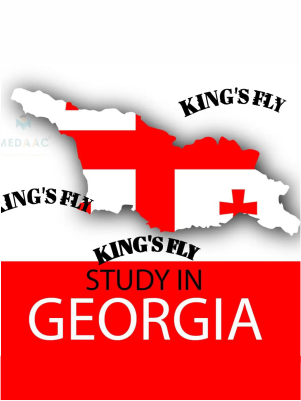 KingsFly consultants 1 mobile